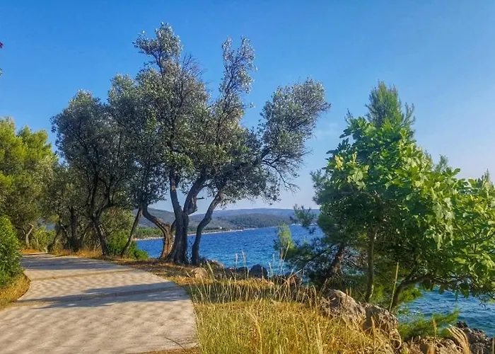 Apartament Stara Gavza 13