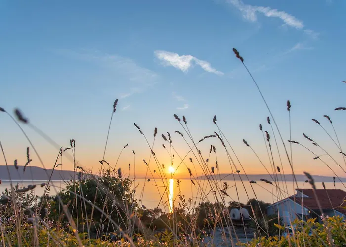 Apartamento Stara Gavza 13